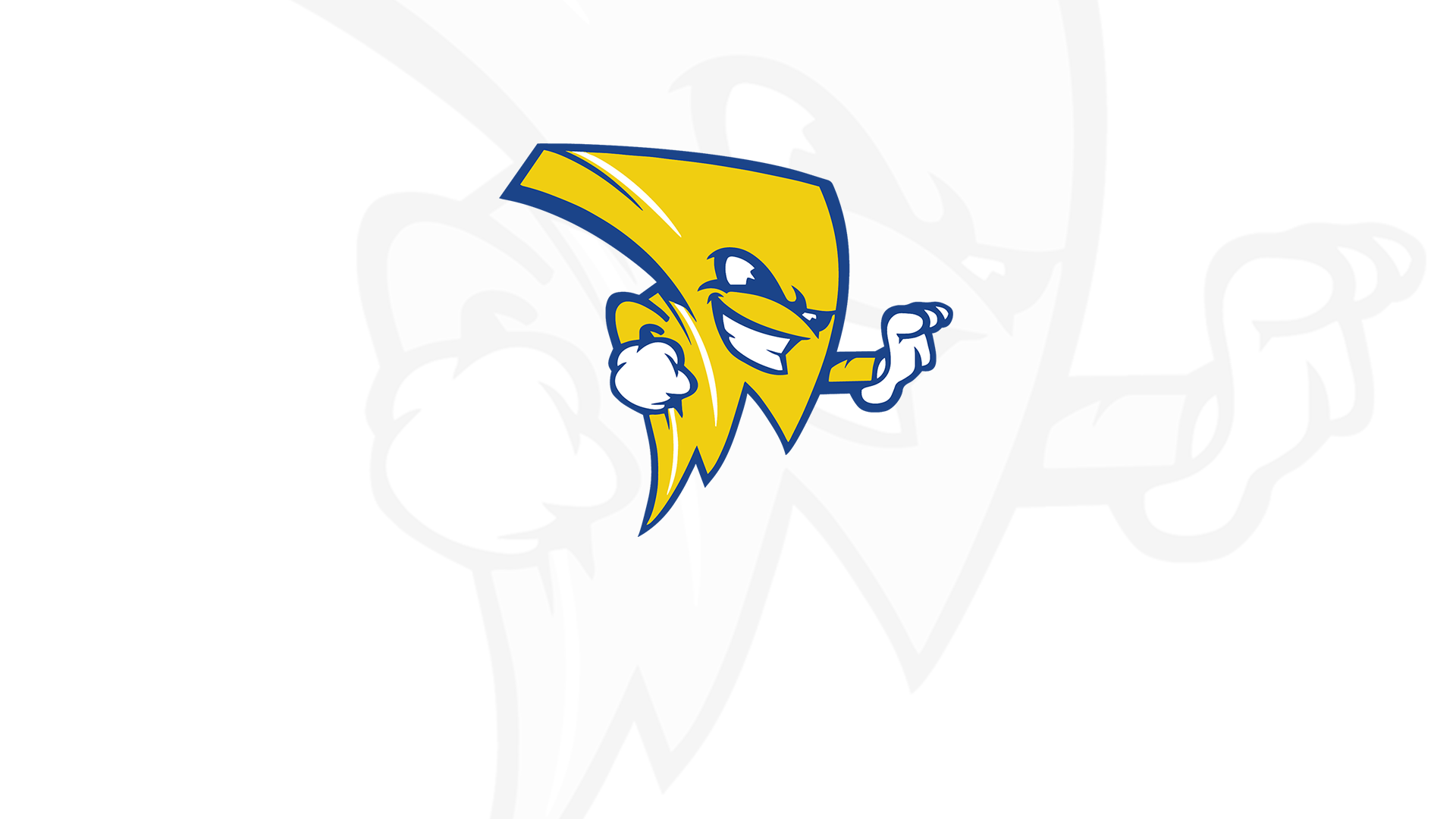 Youth Basketball Camp